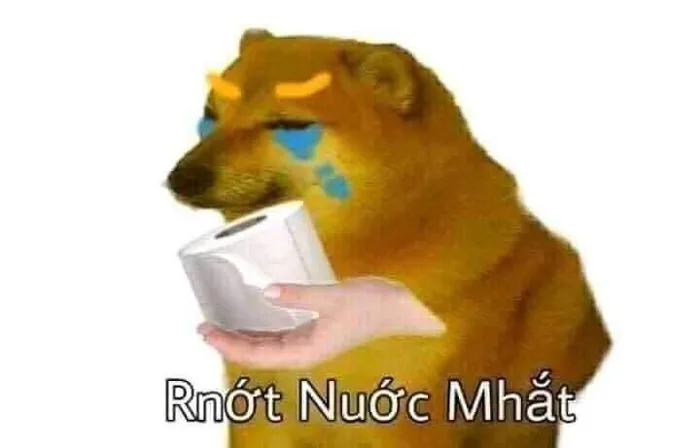 100+ Meme Cheems Hài Hướ᰼, Thú Vị | Cheems dog template, Cheems bonk meme, Cheems dog meme cute