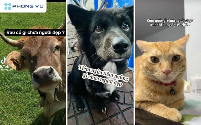 Cơm Nước Gì Chưa Người đẹp Là Gì Mà Dân Mạng Thi Nhau Nhắc đến?