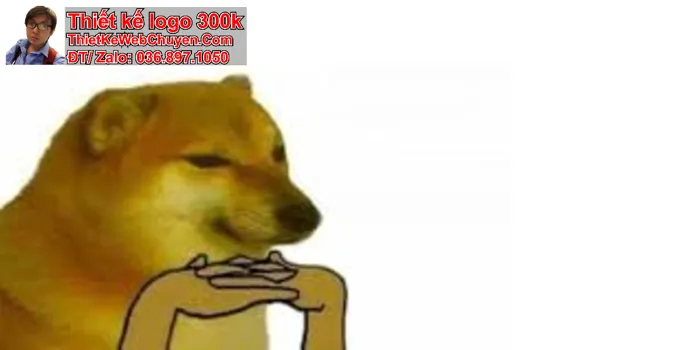 ảnh bìa meme