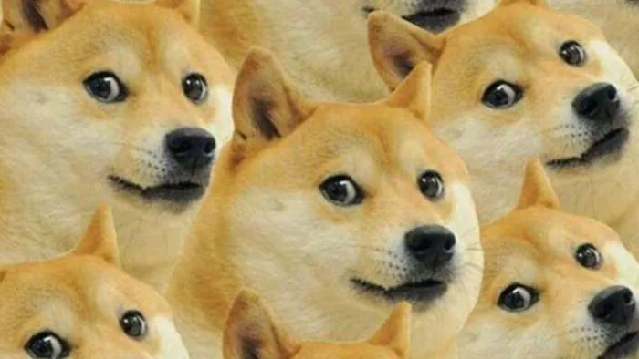 100+ hình ảnh meme hài hước, vui nhộn và hot nhất