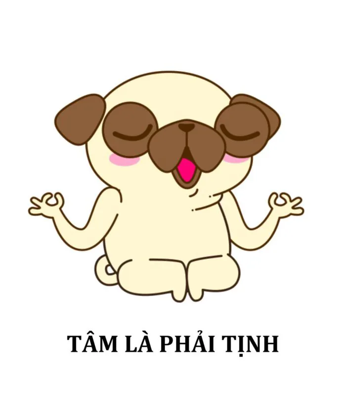 Hình meme, tải miễn phí ngay 102+ hình cực hài - Sago Print