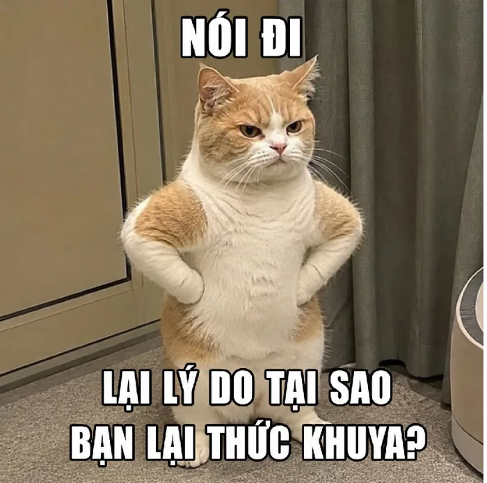 175+ Meme Chống Nạnh thất vọng chán đời cười đau ruột 175+ Meme Chống Nạnh thất vọng chán đời cười đau ruột