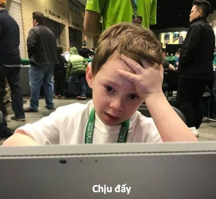 Trọn Bộ Sưu Tập Ảnh Bất Lực Meme Hài Hước, Đáng Yêu 2026