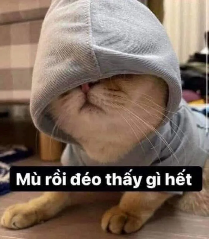 Meme Bất Lực, Bất Ổn Siêu Bựa [100+ Ảnh Bất Lực Hài Hước]