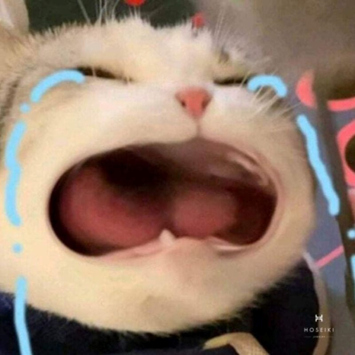 Khám Phá 89+ Ý Tưởng Meme Bất Lực Vô Cùng Hài Hước Và Cực Kì Thú Vị Dành  Cho Bạn