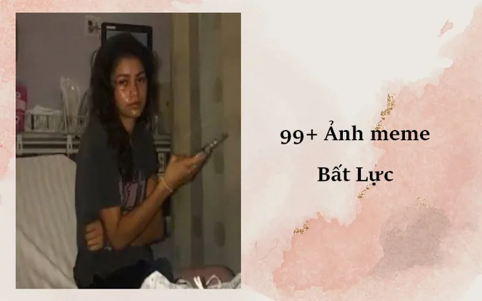 Full) Ảnh Meme Bất Lực hài hước, sáng tạo nhất