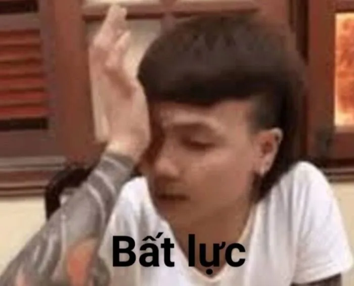 Trọn Bộ Sưu Tập Ảnh Bất Lực Meme Hài Hước, Đáng Yêu 2026