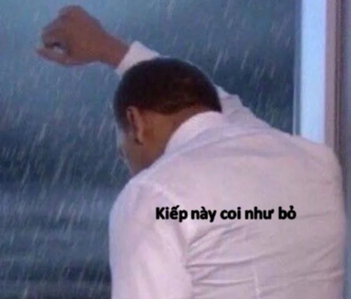Trọn Bộ Sưu Tập Ảnh Bất Lực Meme Hài Hước, Đáng Yêu 2026