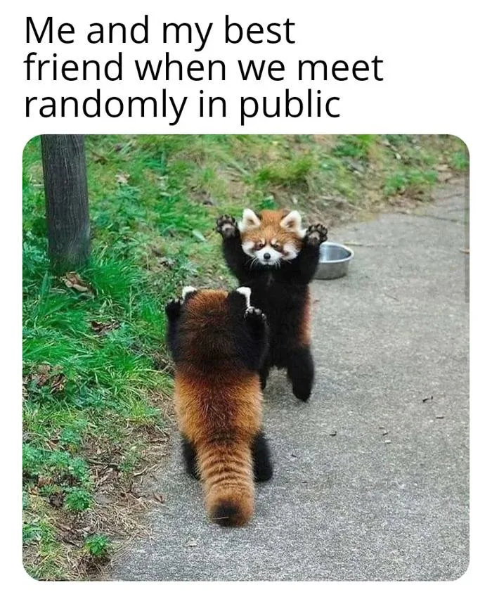 Friends meme everything to me : r/wholesomememes Friends meme everything to me : r/wholesomememes
