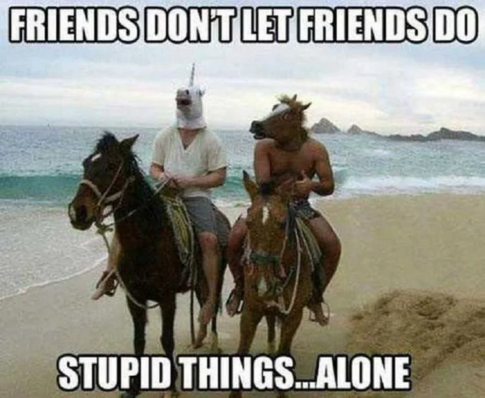 The Top 24 Best Friend Memes of 2021 The Top 24 Best Friend Memes of 2021