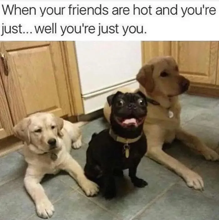 National Best Friends Day Memes to Send to Your Most Adored Bestie National Best Friends Day Memes to Send to Your Most Adored Bestie