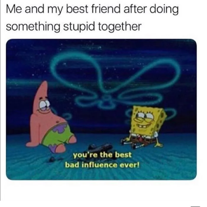 41 Best Friend Memes to Celebrate Friendship in 2024 - Happier Human 41 Best Friend Memes to Celebrate Friendship in 2024 - Happier Human