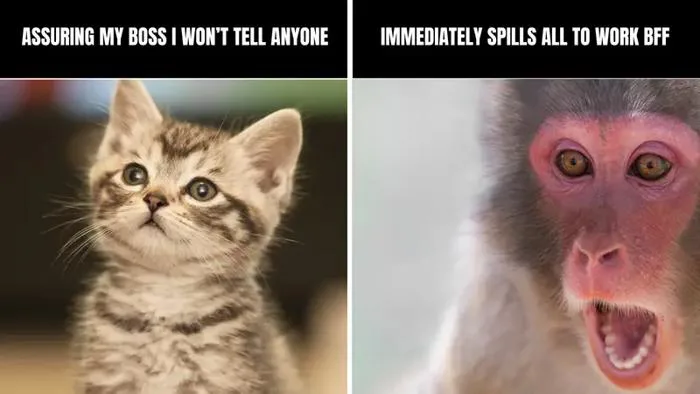 The most relatable work bestie meme collection - PowerToFly The most relatable work bestie meme collection - PowerToFly
