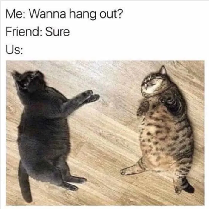 26 Memes That Only Best Friends Can Relate To 26 Memes That Only Best Friends Can Relate To