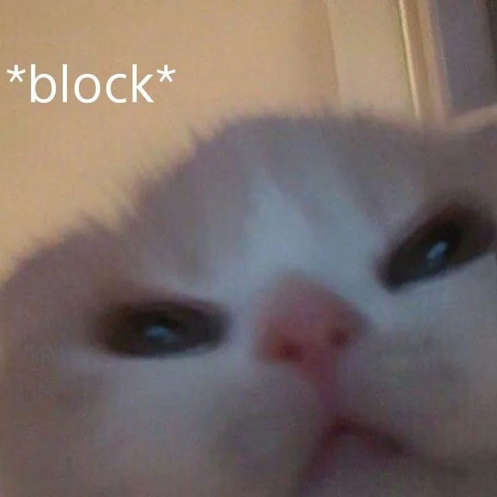 meme-block-1