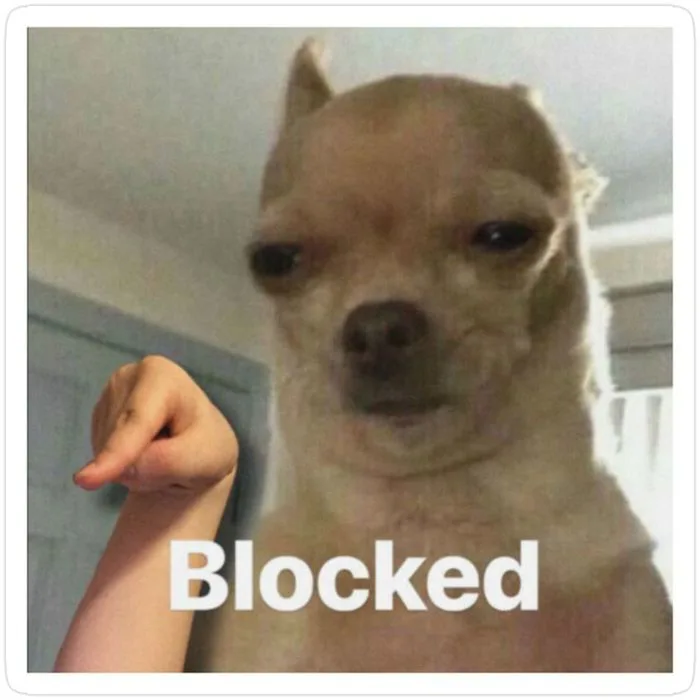 Dog Blocked Meme Sticker