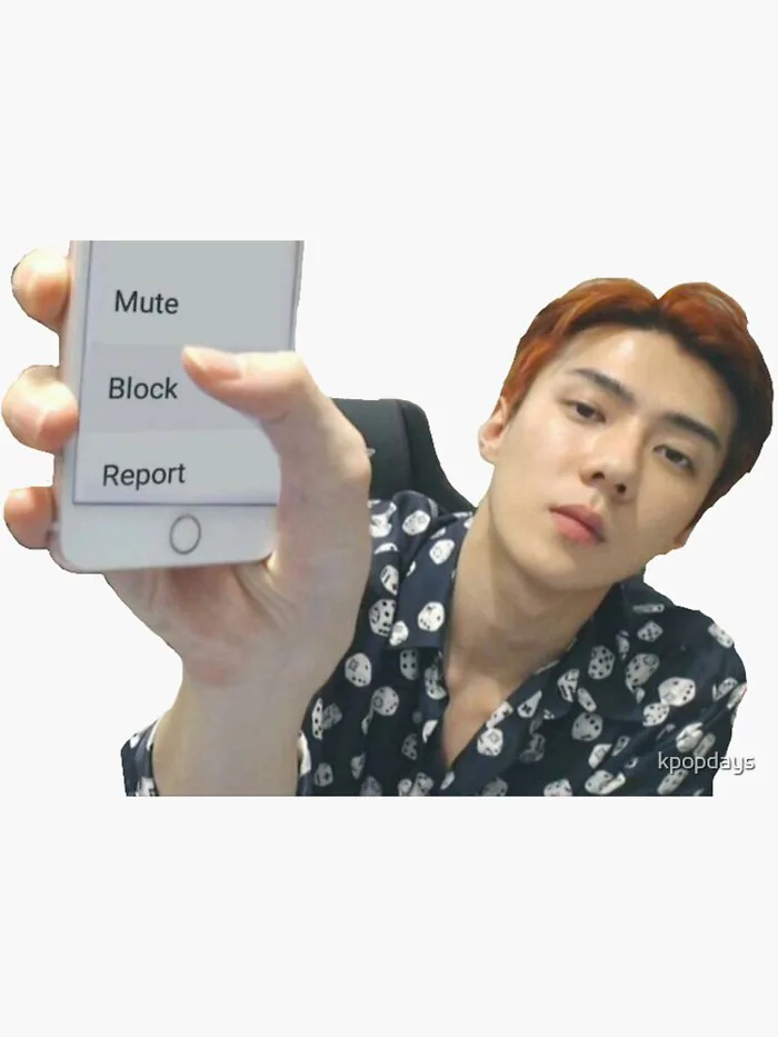 Exo Sehun Block Meme