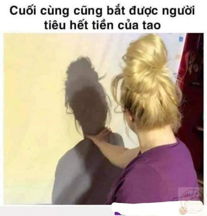 Meme bóp cổ: 120+ ảnh bóp cổ mèo, chó, vịt lè lưỡi bá đạo