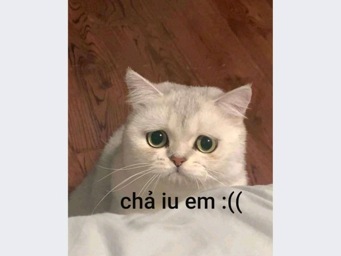 Tổng Hợp 99+ Meme Buồn Dành Riêng Cho Những Tâm Hồn Mỏng Manh Dễ Vỡ