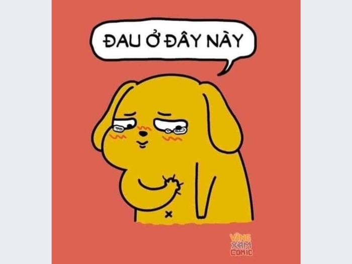 Tổng Hợp 99+ Meme Buồn Dành Riêng Cho Những Tâm Hồn Mỏng Manh Dễ Vỡ