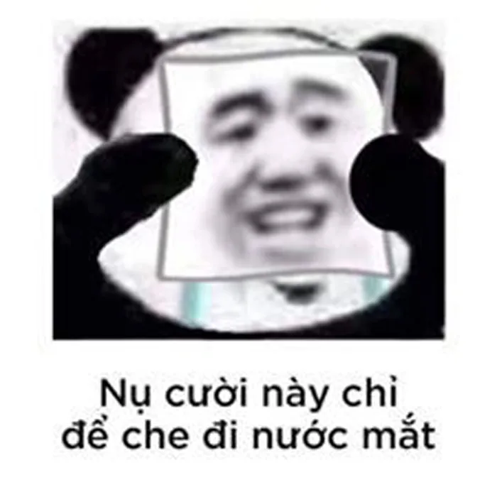 Vừa buồn vừa cười: Khi nỗi buồn hoá thành meme | Vietcetera