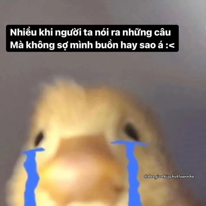 Lưu ngay TOP 99+ meme buồn THẤU TÂM CAN | Yody