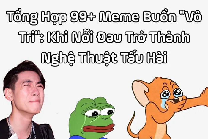 Tổng Hợp 99+ Meme Buồn Dành Riêng Cho Những Tâm Hồn Mỏng Manh Dễ Vỡ