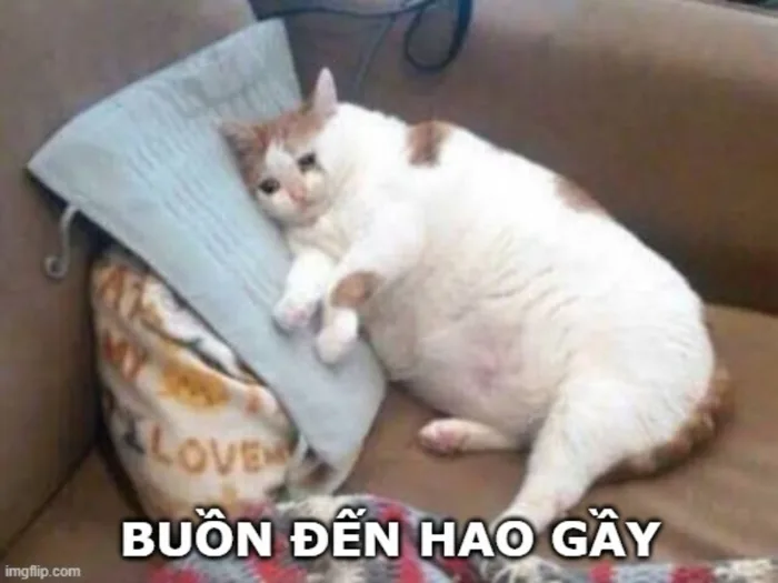 Tổng hợp 80+ meme buồn được sử dụng phổ biến trên mạng xã hội