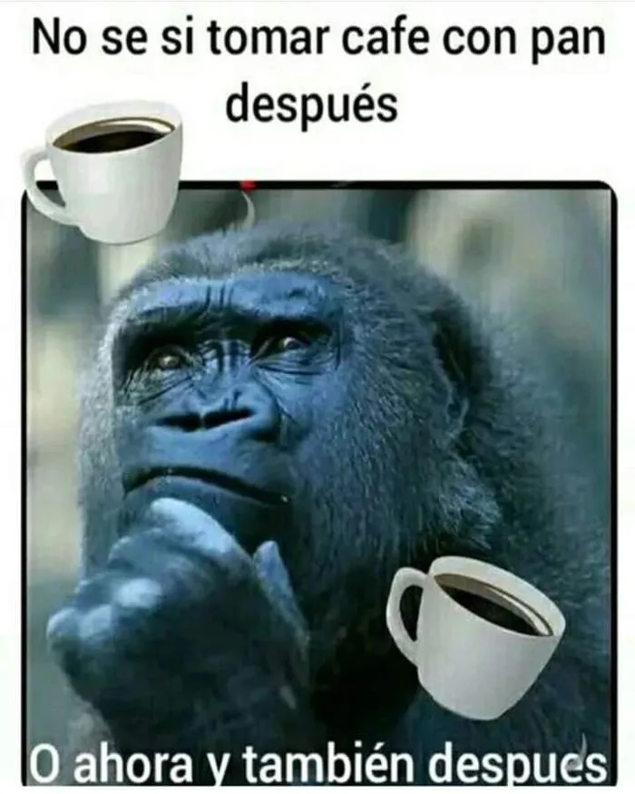 Cách pha cà phê ngon | Humor del café, Cafe con pan, Cafe frases divertidas