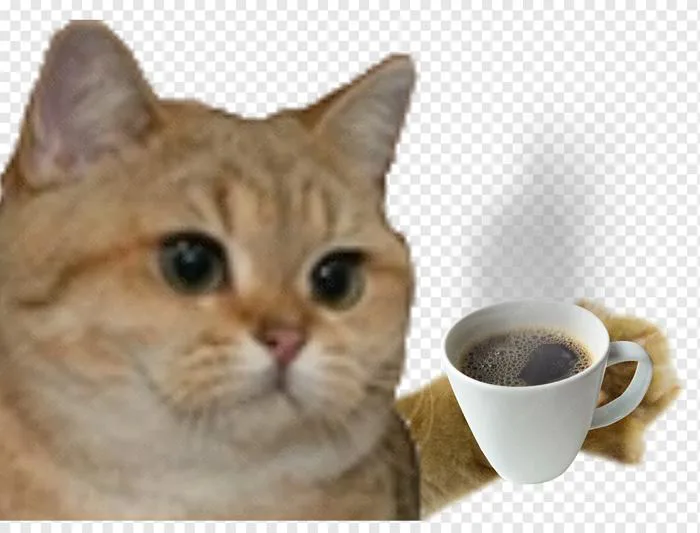 Cute Cat Holding Coffee Cup PNG Image – Free Download | CleanPNG - CleanPNG