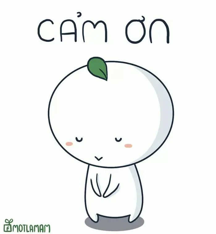 Cảm ơn người lạ rất nhiều 😍