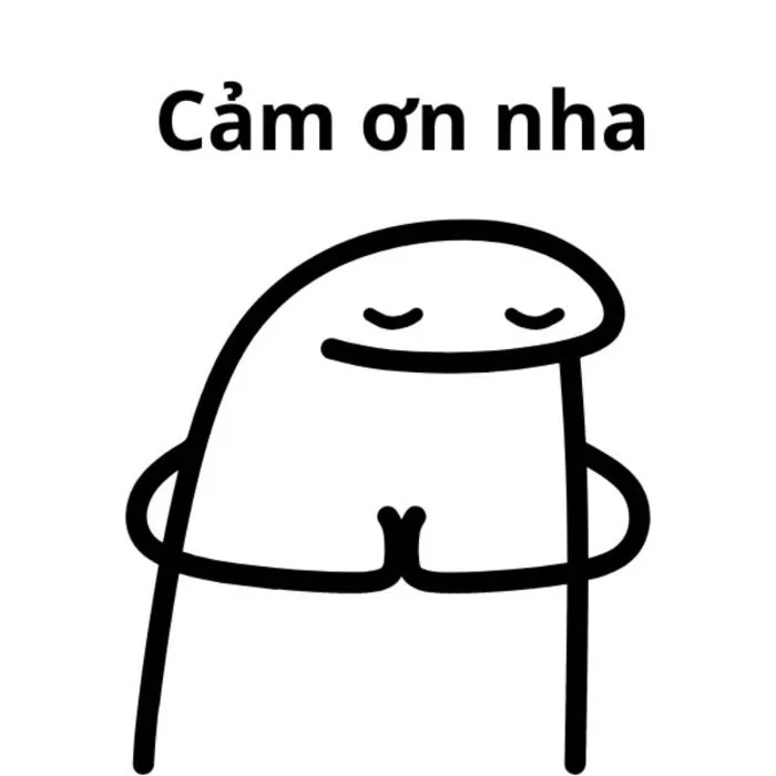 Top 33+ ảnh meme cảm ơn hài hước, cute lầy lội cười té ghế