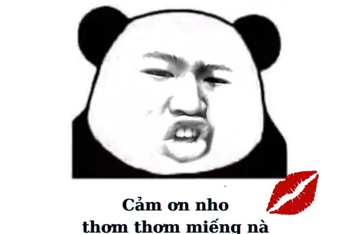 Meme cảm ơn hài hước, dễ thương, bạn đừng bỏ lỡ