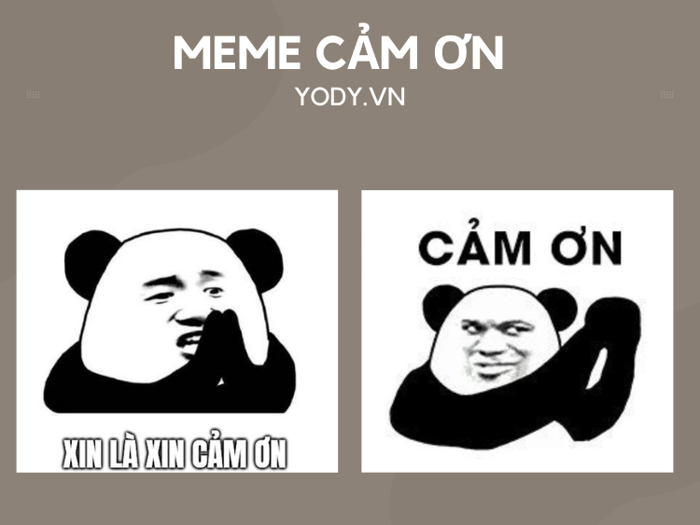 LƯU NGAY 99+ Ảnh Meme Cảm Ơn CƯỜI RỤNG RỐN | Yody