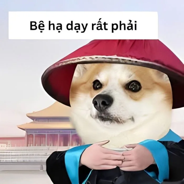 Tổng hợp meme cảm ơn, thank you thịnh hành cute, hài hước