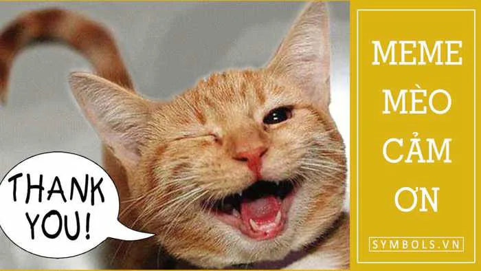 34+ Ảnh Meme Mèo Cảm Ơn Đáng Yêu Nhất - Cực Cute