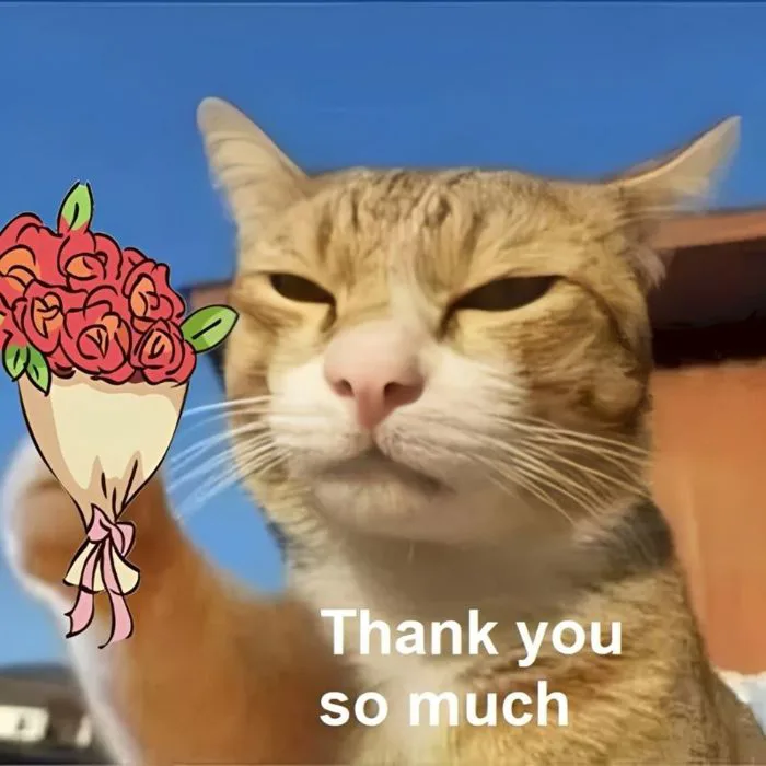 Tổng hợp meme cảm ơn, thank you thịnh hành cute, hài hước