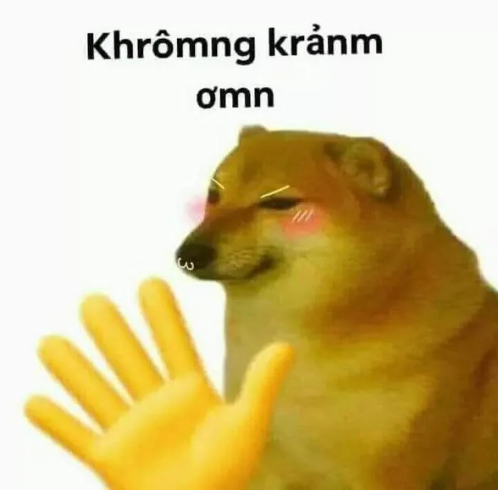 LƯU NGAY 99+ Ảnh Meme Cảm Ơn CƯỜI RỤNG RỐN | Yody