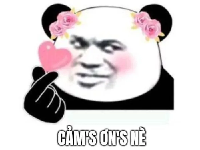 Bộ Sưu Tập 100+ Cảm Ơn Meme Sử Dụng Phổ Biến Nhất 2026