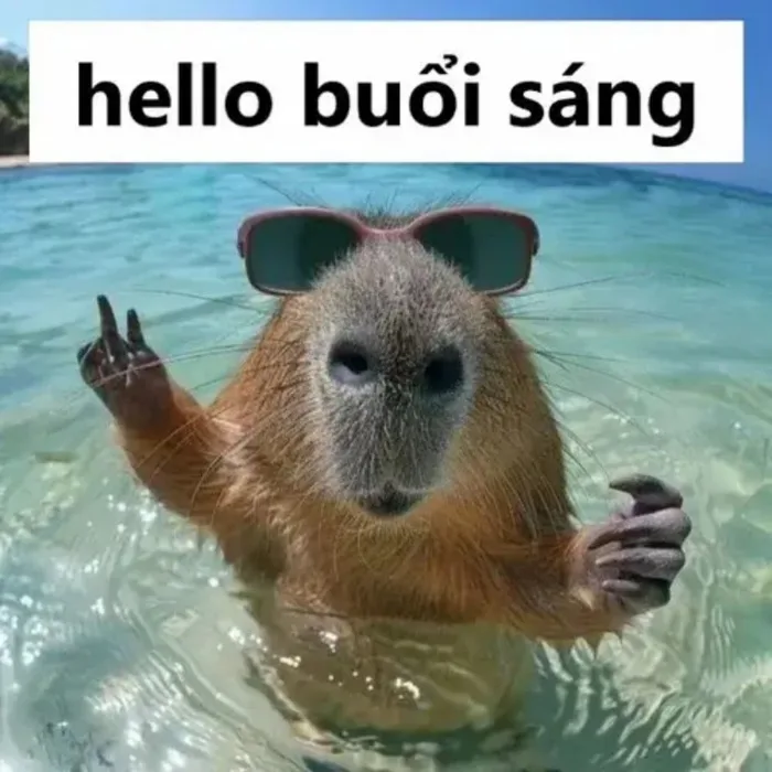 meme-chao-buoi-sang-1