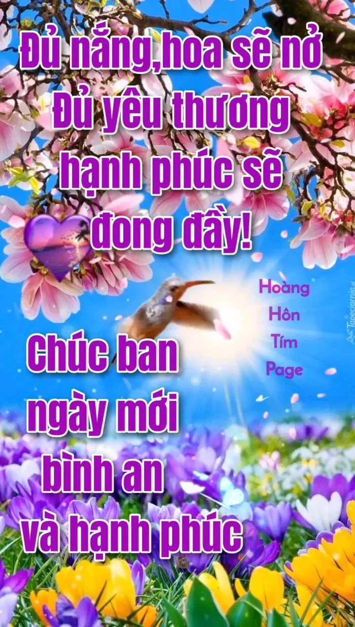 Meme Chào Buổi Sáng