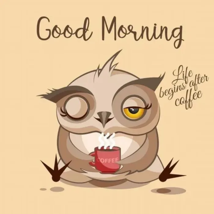 Tổng hợp 150+ Meme Chào Buổi Sáng Hài Hước, Độc Đáo Nhất