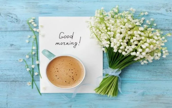 38 status chào buổi sáng, chúc ngày mới hay, hài hước, ý nghĩa