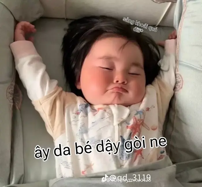 Story » Bộ ảnh meme chào buổi sáng ngày mới hài hước khiến bạn bật cười  sảng khoái