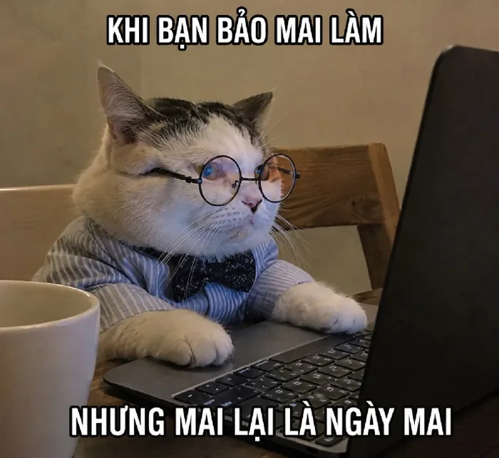 188+ Ê meme - thái độ siêu chất ảnh chế cười đau bụng