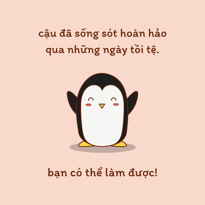 Thiết Kế Mẫu Ảnh Chế Đẹp, Chuyên Nghiệp, Miễn Phí, Trực Tuyến Tại Canva