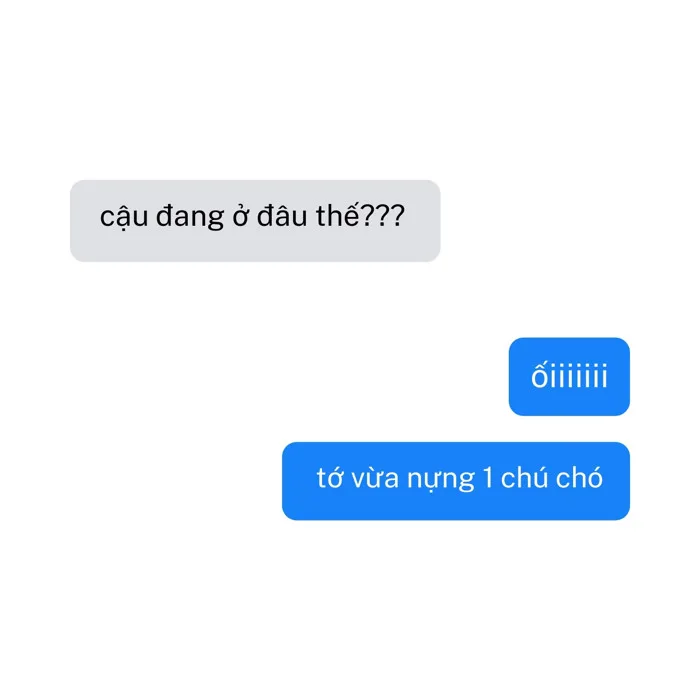 Tạo Meme Chó Hài Hước, Cute Cực Dễ | Mẫu Canva Miễn Phí
