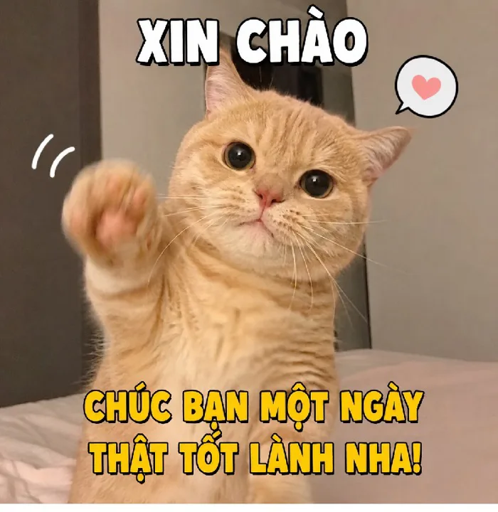149+ Meme Xin Chào hello hi em chào đại ca ảnh chế siêu hài