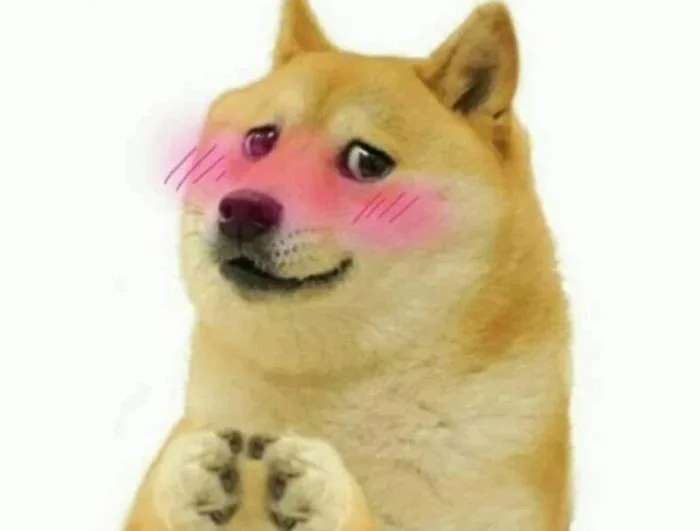 Cheems meme là gì? Tổng hợp các meme Cheems hài hước, thú vị