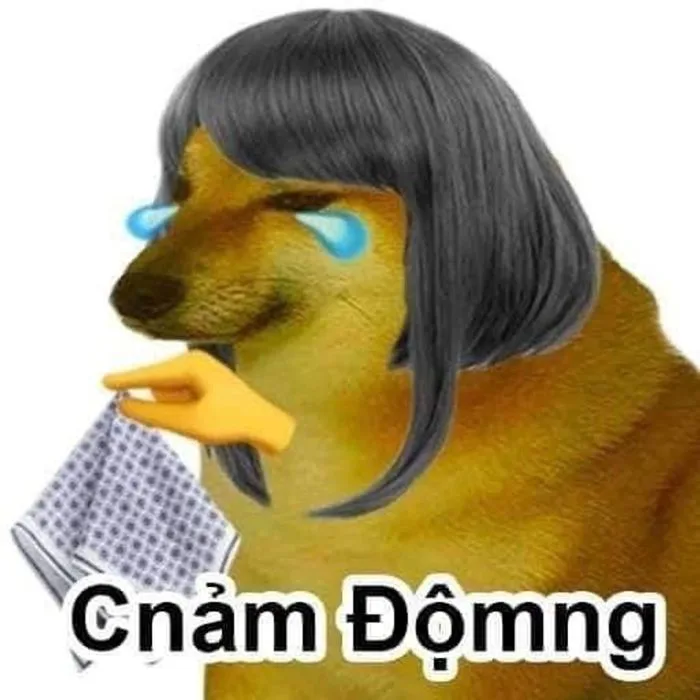 Meme cheems là gì mà sao ai cũng thích? | Vietcetera